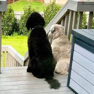 Meet your Posher, Angie